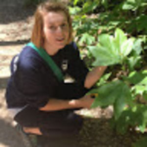 Meet your Posher, Em